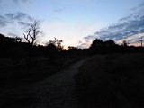 DSC_9569.JPG