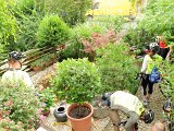 DSC_9626.JPG